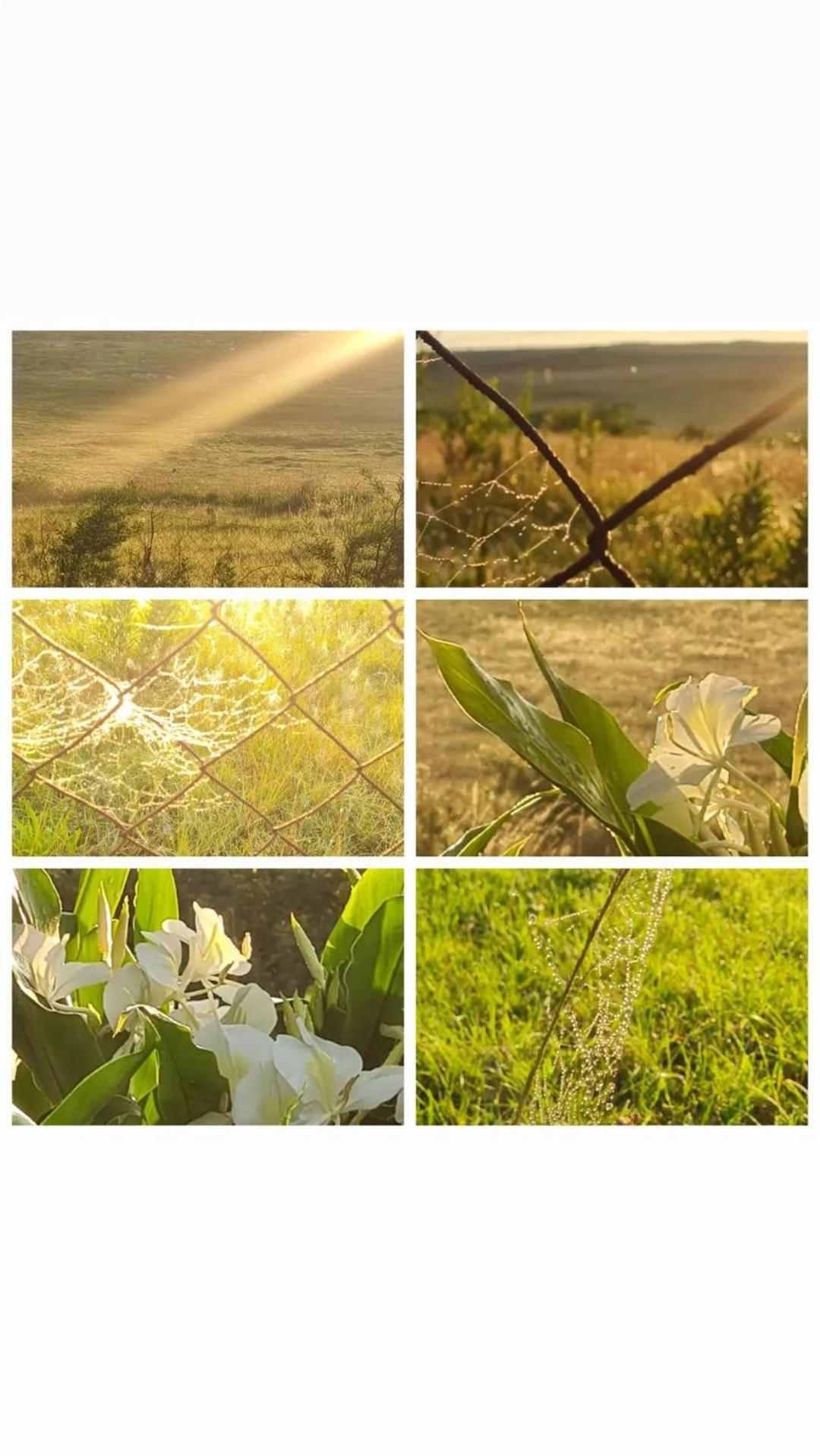 Mosswood Bed & Breakfast Graskop Dış mekan fotoğraf