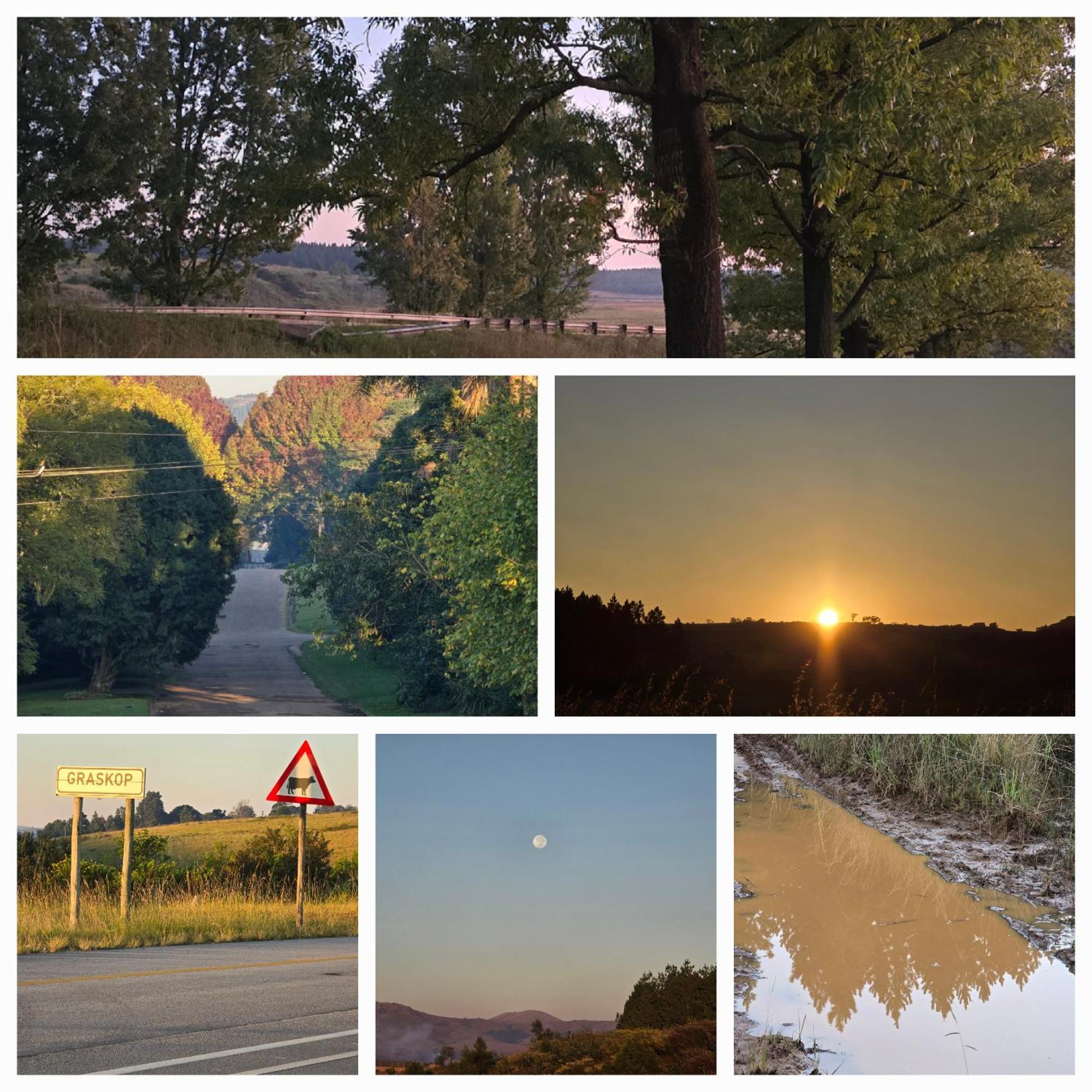 Mosswood Bed & Breakfast Graskop Dış mekan fotoğraf