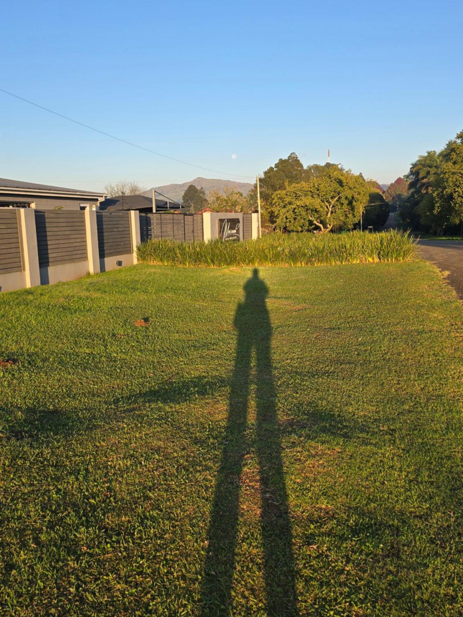Mosswood Bed & Breakfast Graskop Dış mekan fotoğraf